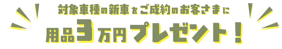 新車ご成約で用品3万円プレゼント